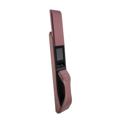 RX082101 Yüz Tanımalı Ve Kartlı Kapı Kilidi - 1